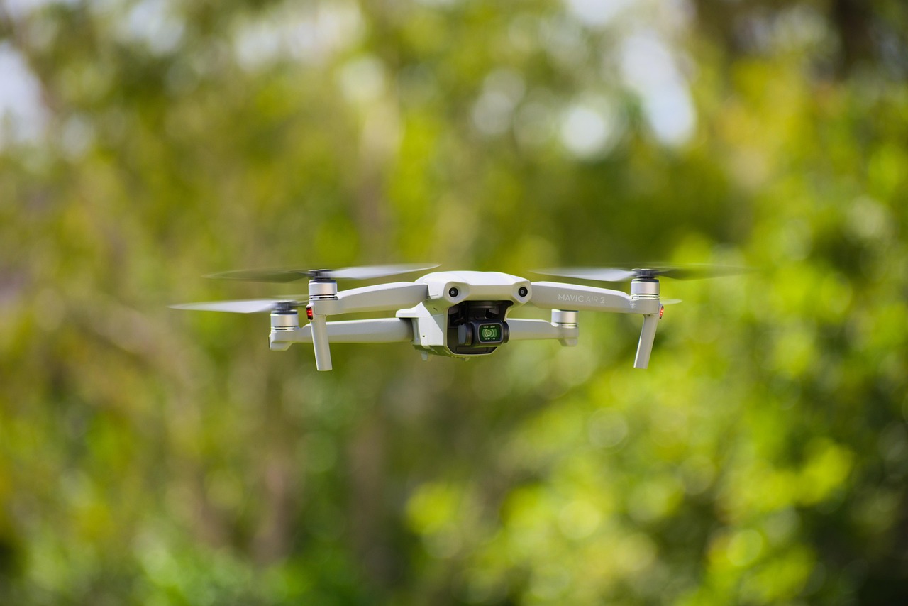 2월 국내여행하기 좋은곳