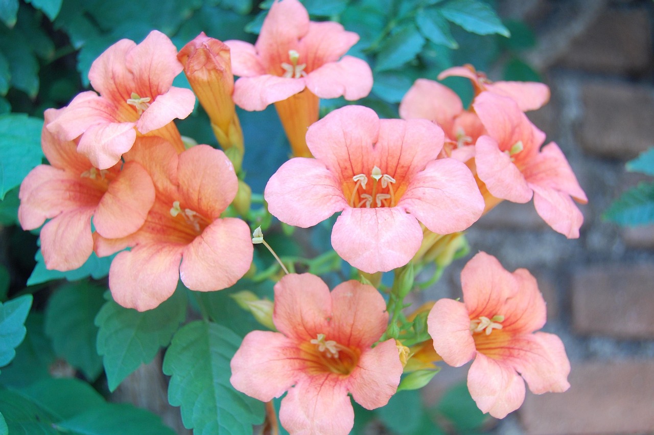 국내여행 베스트